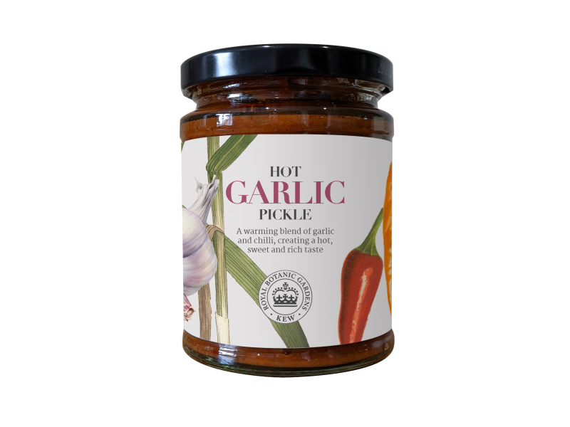 RBG Kew - Hot Garlic Pickle